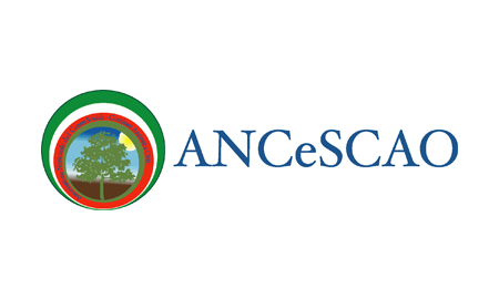 logo ancescao logo ancescao